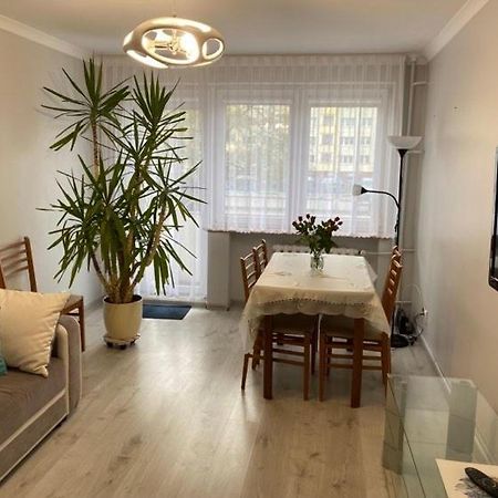 Apartament Przy Katedrze Гожув-Велькопольски Экстерьер фото
